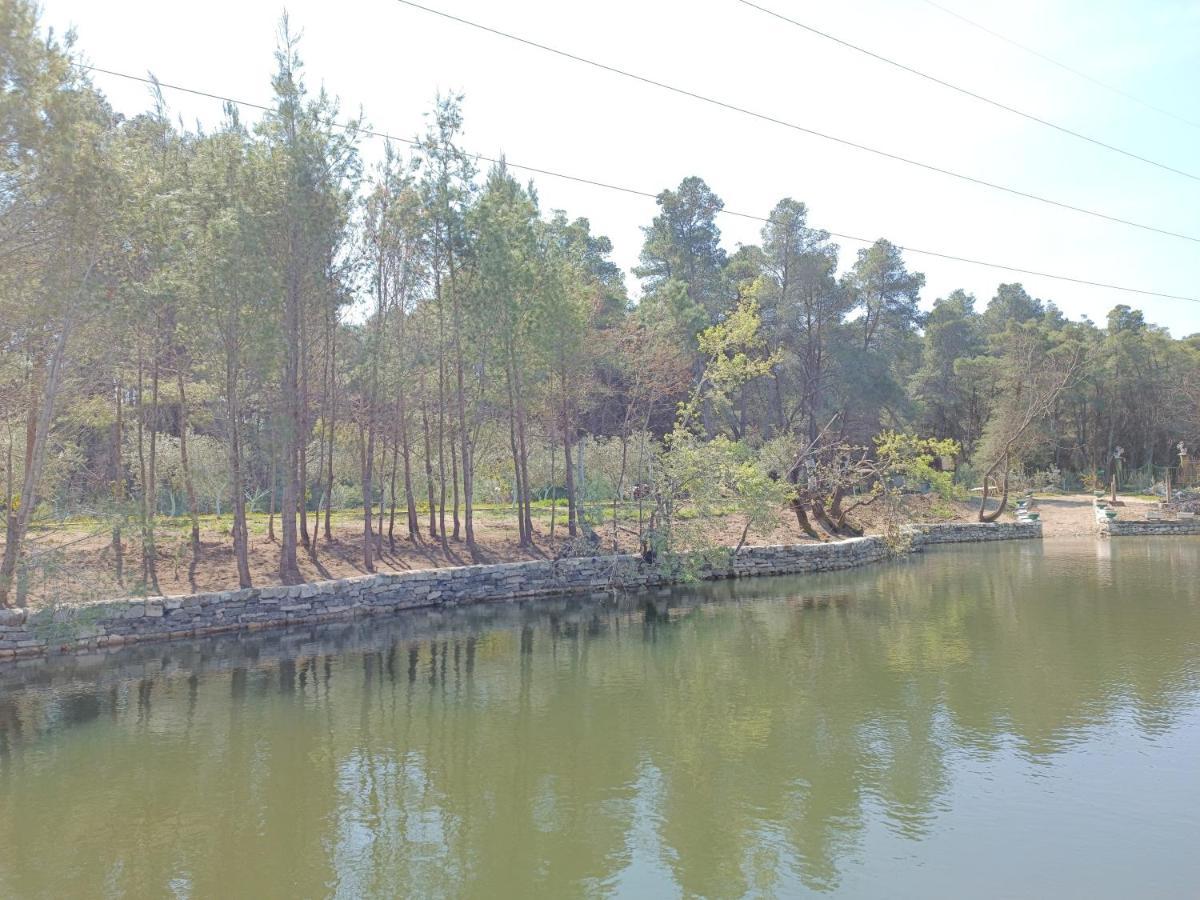 Kavalona Park 호텔 Vlorë 외부 사진